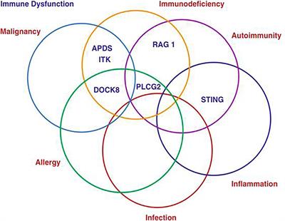 Editorial: The Complexity of Primary Antibody Deficiencies